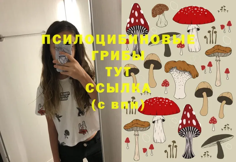 даркнет состав  Ивангород  Галлюциногенные грибы MAGIC MUSHROOMS  купить  